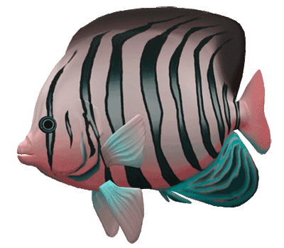 mediumFish1