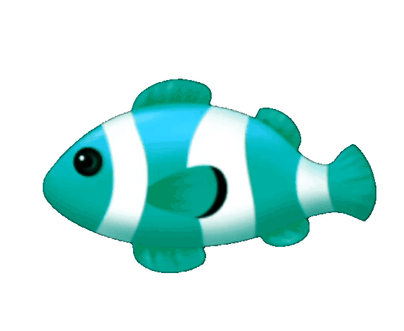 smallFish4